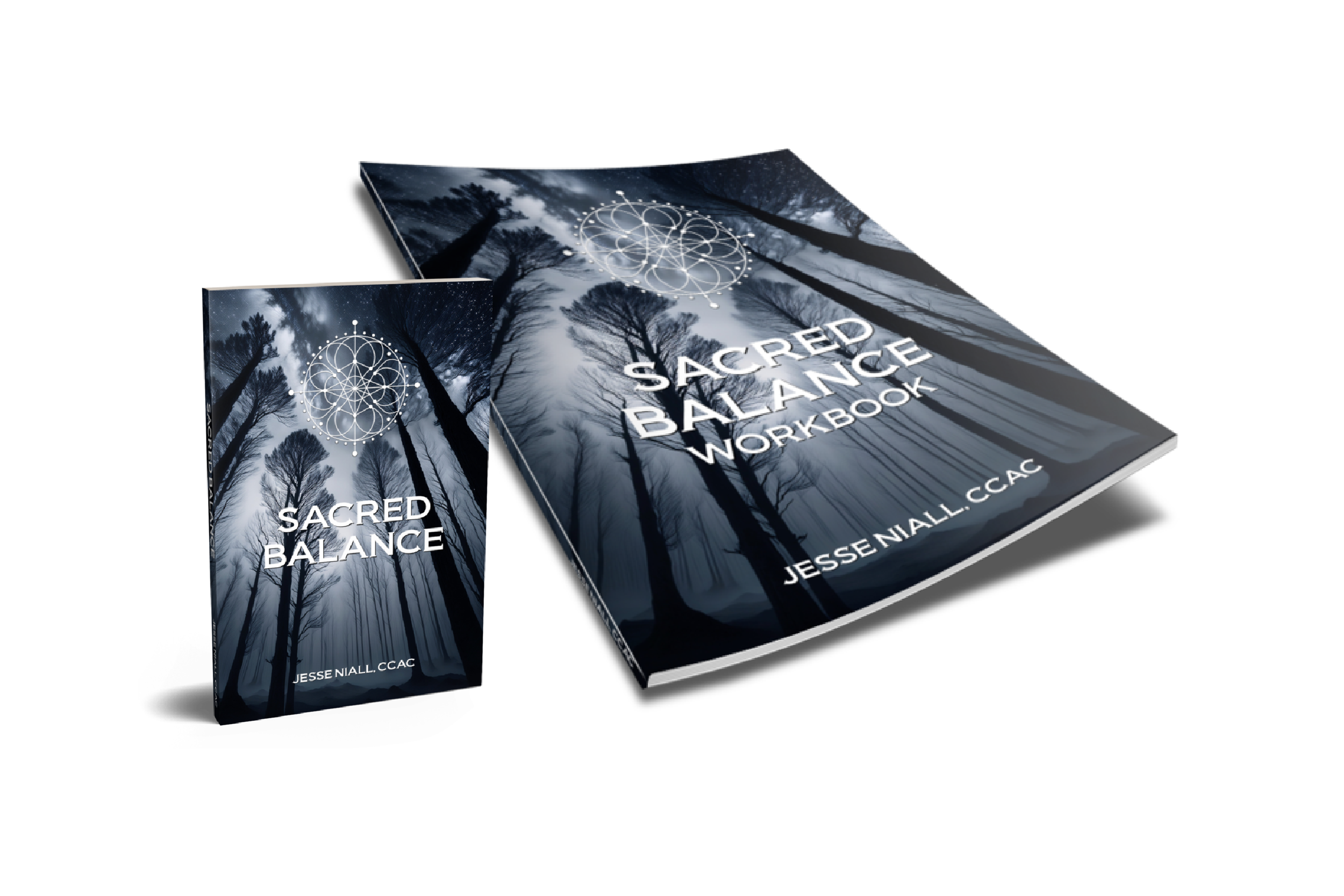 Sacred Balance book and workbook combo set