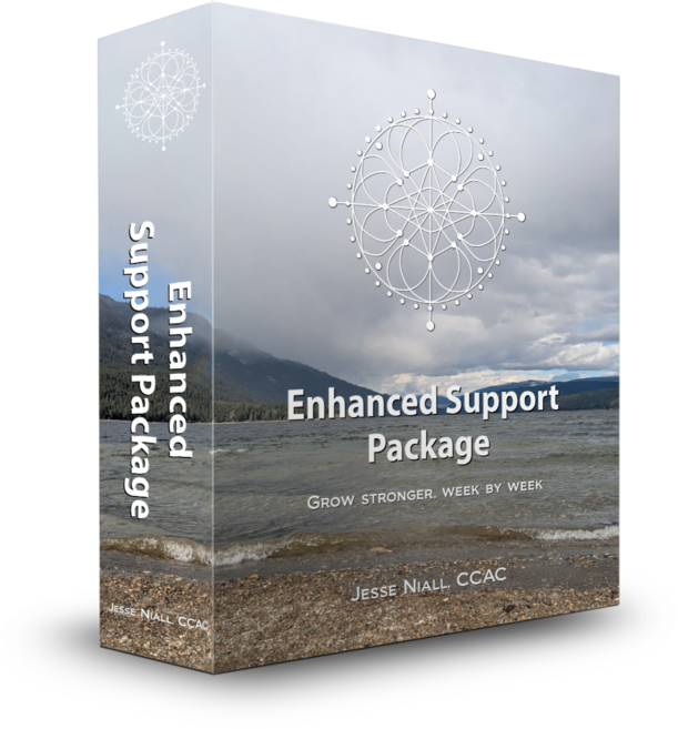 Enhanced Support Coaching Package cover
