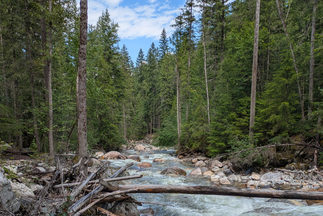 Jesse Niall guiding meditation by a peaceful river surrounded by nature